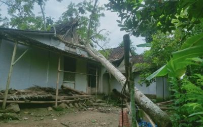 Angin Kencang Terjang Banyumas, Sejumlah Pohon Tumbang dan Timpa Rumah Warga